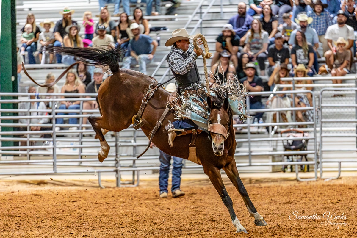 Bronc rider on dark bucking horse indoor arena packed crowd night