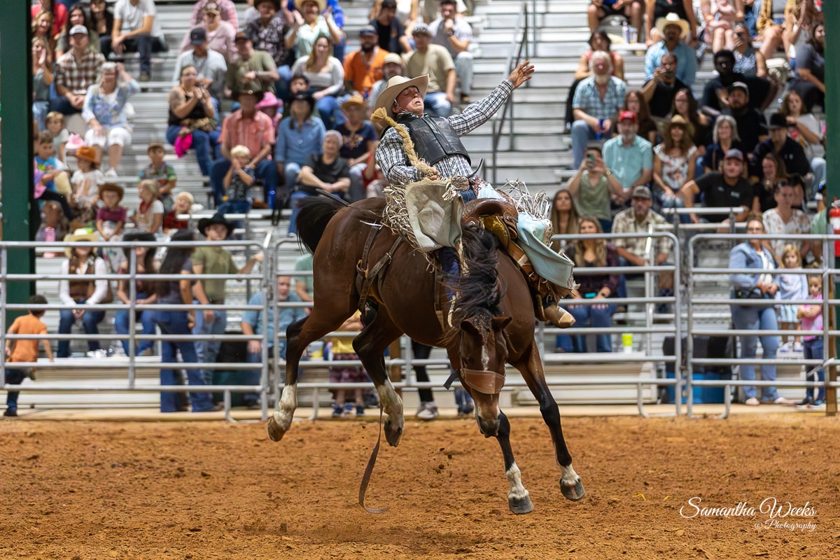 Bronc rider arm raised on bucking horse indoor arena crowd