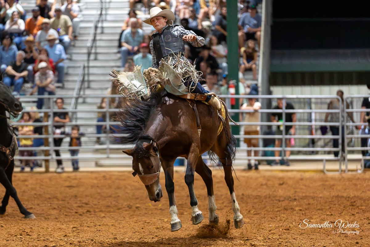 Bronc rider leaning forward on bucking horse indoor arena crowd