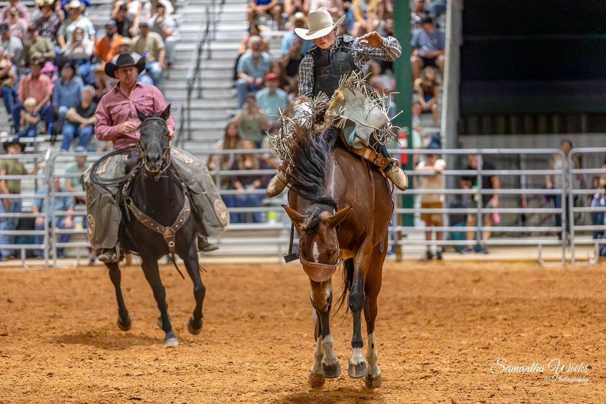Bronc rider holding hat on bucking horse indoor arena crowd