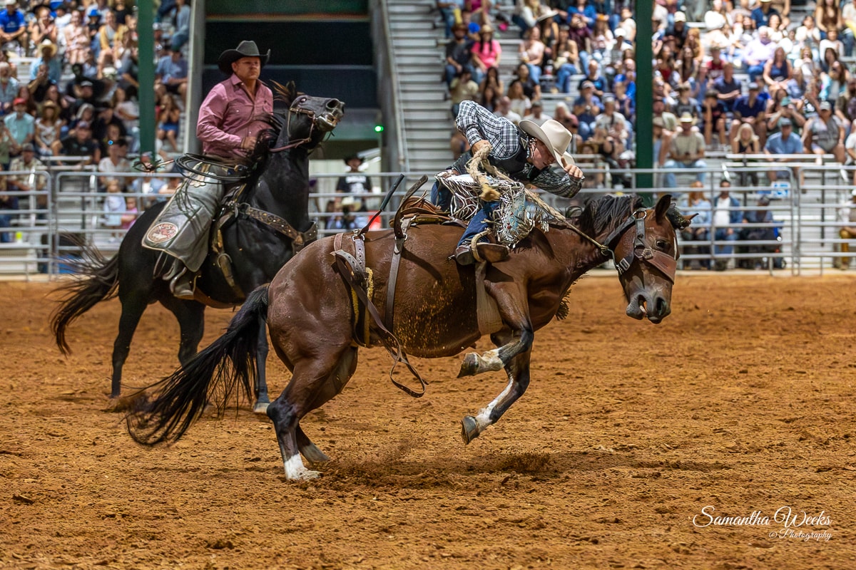 Bronc rider leaning low on running horse indoor arena crowd