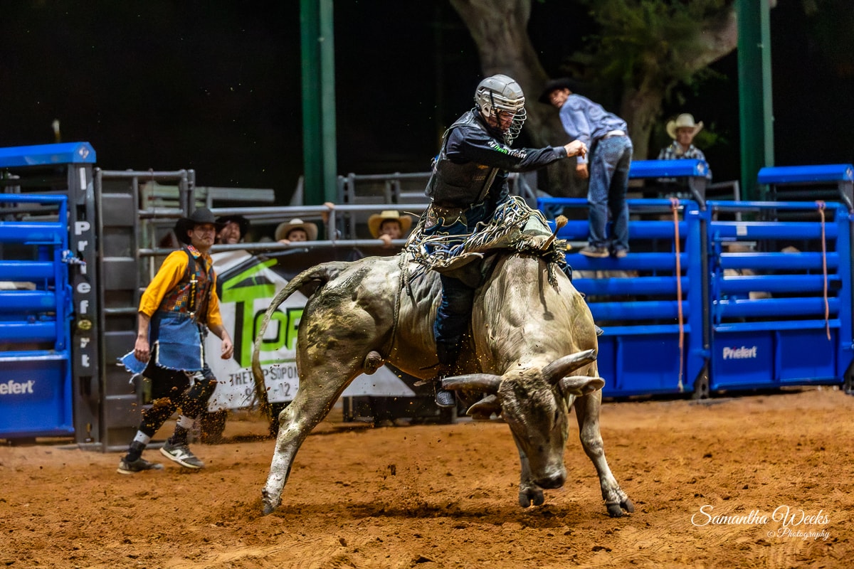 Bull rider on grey bull spinning rodeo arena night