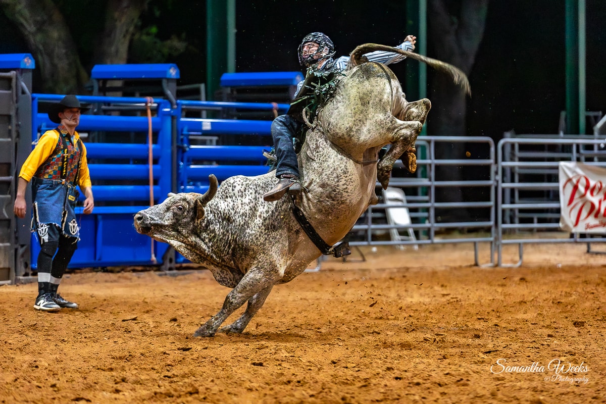Bull rider on speckled grey bull outdoor arena Top Shop banner