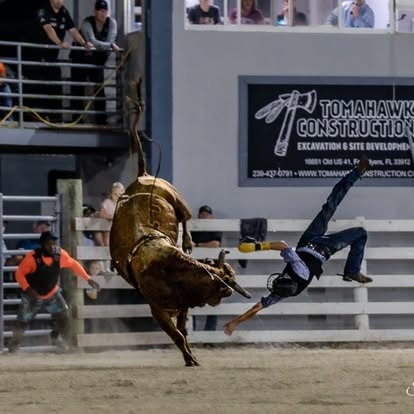 Bull rider thrown off bull dramatic rodeo action shot