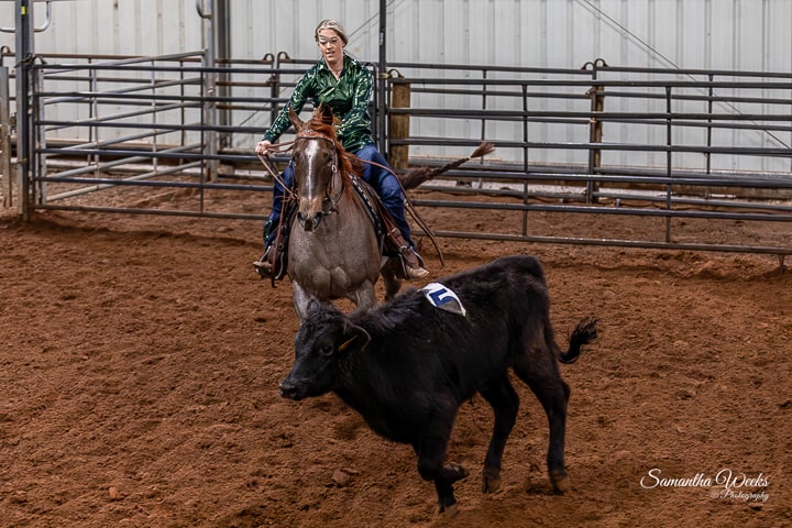 Woman in green shirt on horse cutting a calf